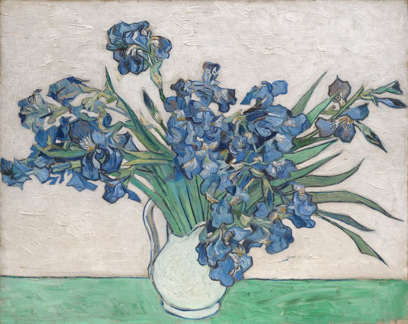 Vincent van Gogh, Irises (1890)